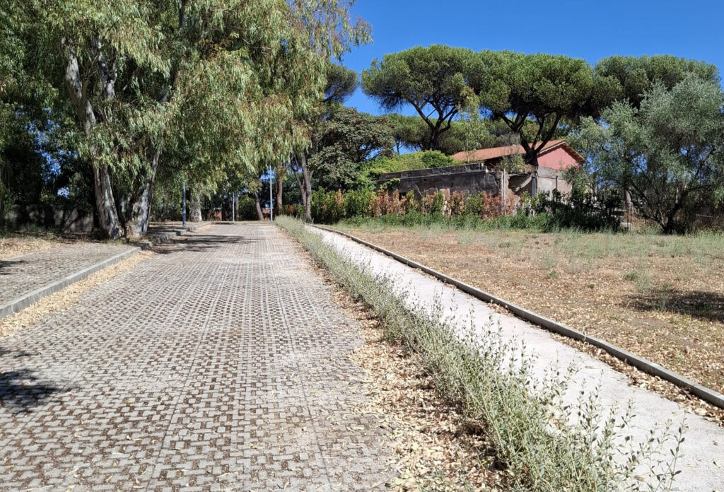 Viale di accesso