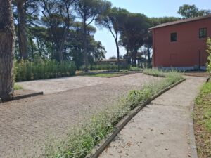 Vialetto